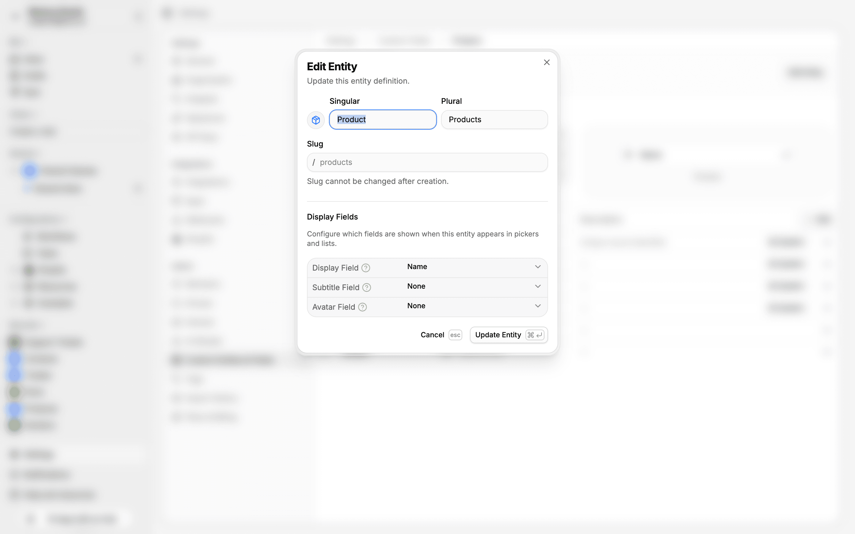 Edit Entity dialog showing singular/plural names, slug, and display field configuration